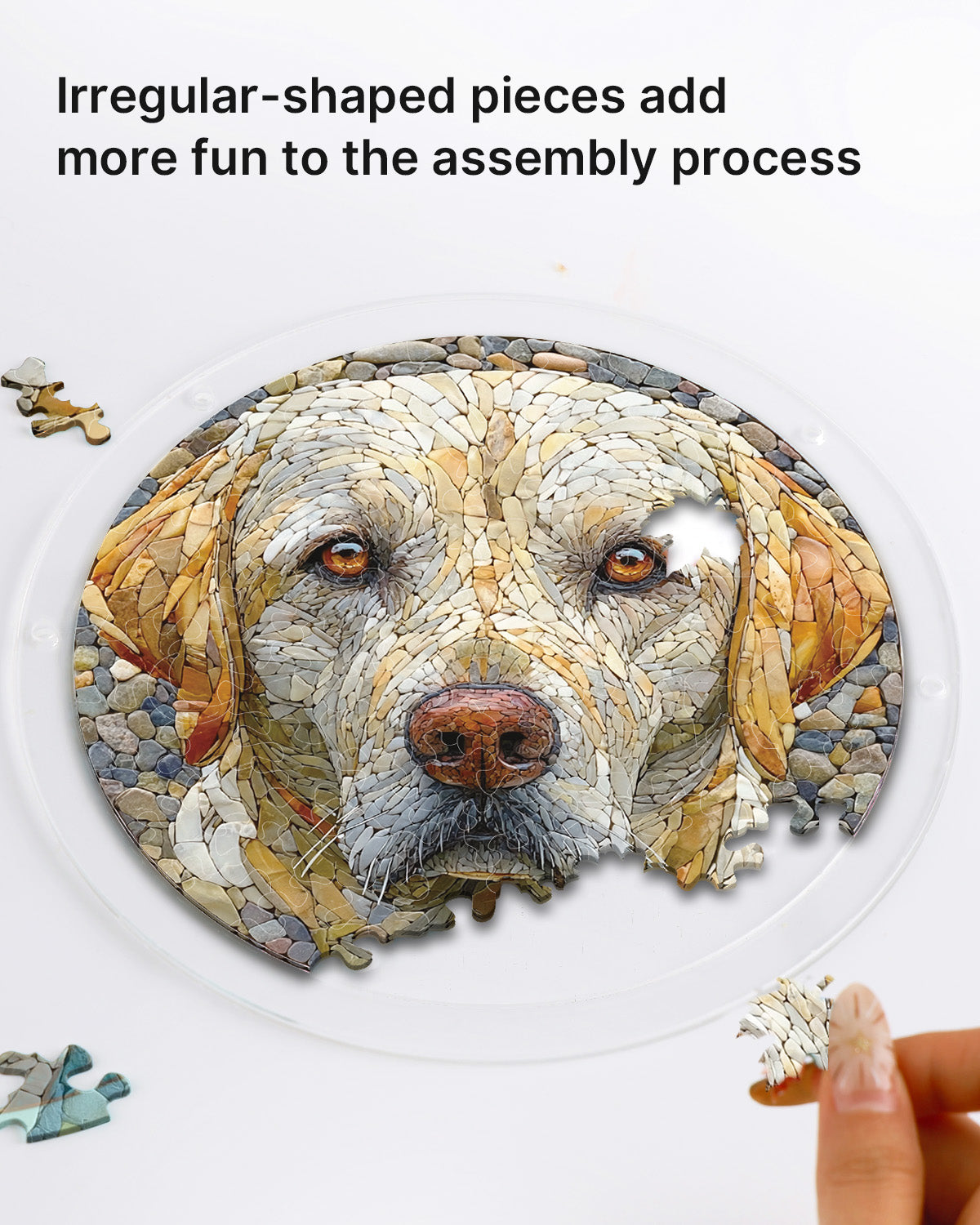 kaayee-stone-dog-suncatcher-puzzle-acryl-small-18-8-cm image 2