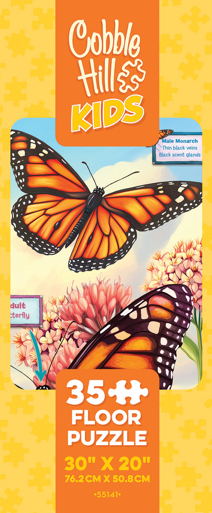 cobble-hill-floor-puzzles-life-cycle-monarch-puzzle-35-teile image 3