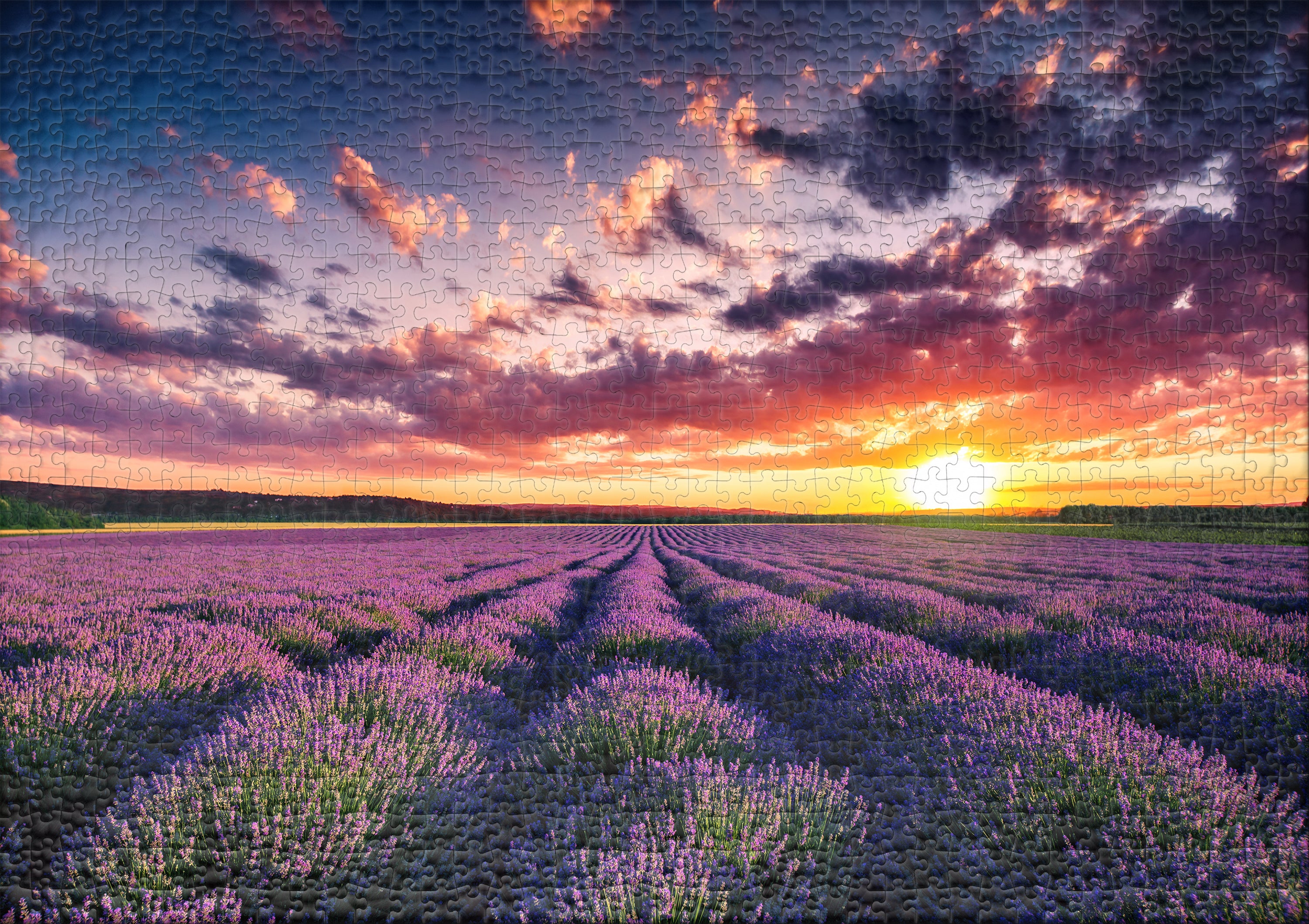 ulmer-puzzleschmiede-puzzle-1000-teile-lavendelbl-ten-provence image 2