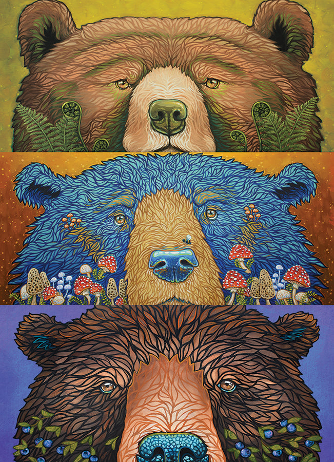 cobble-hill-bear-eyes-harvest-puzzle-500-teile-b-ren image 2