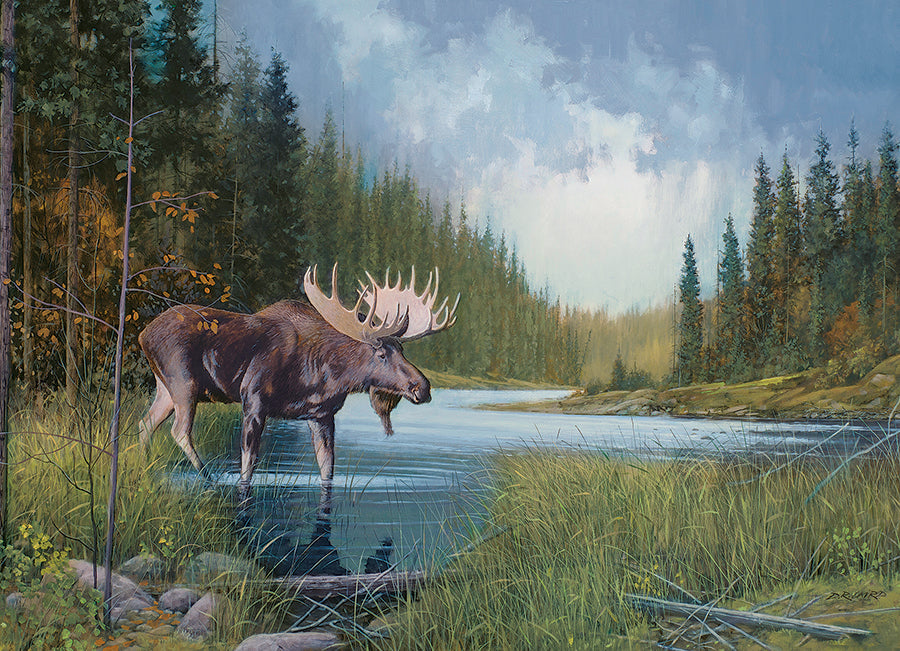 cobble-hill-1000-piece-moose-lake-puzzle-1000-teile-elch image 2