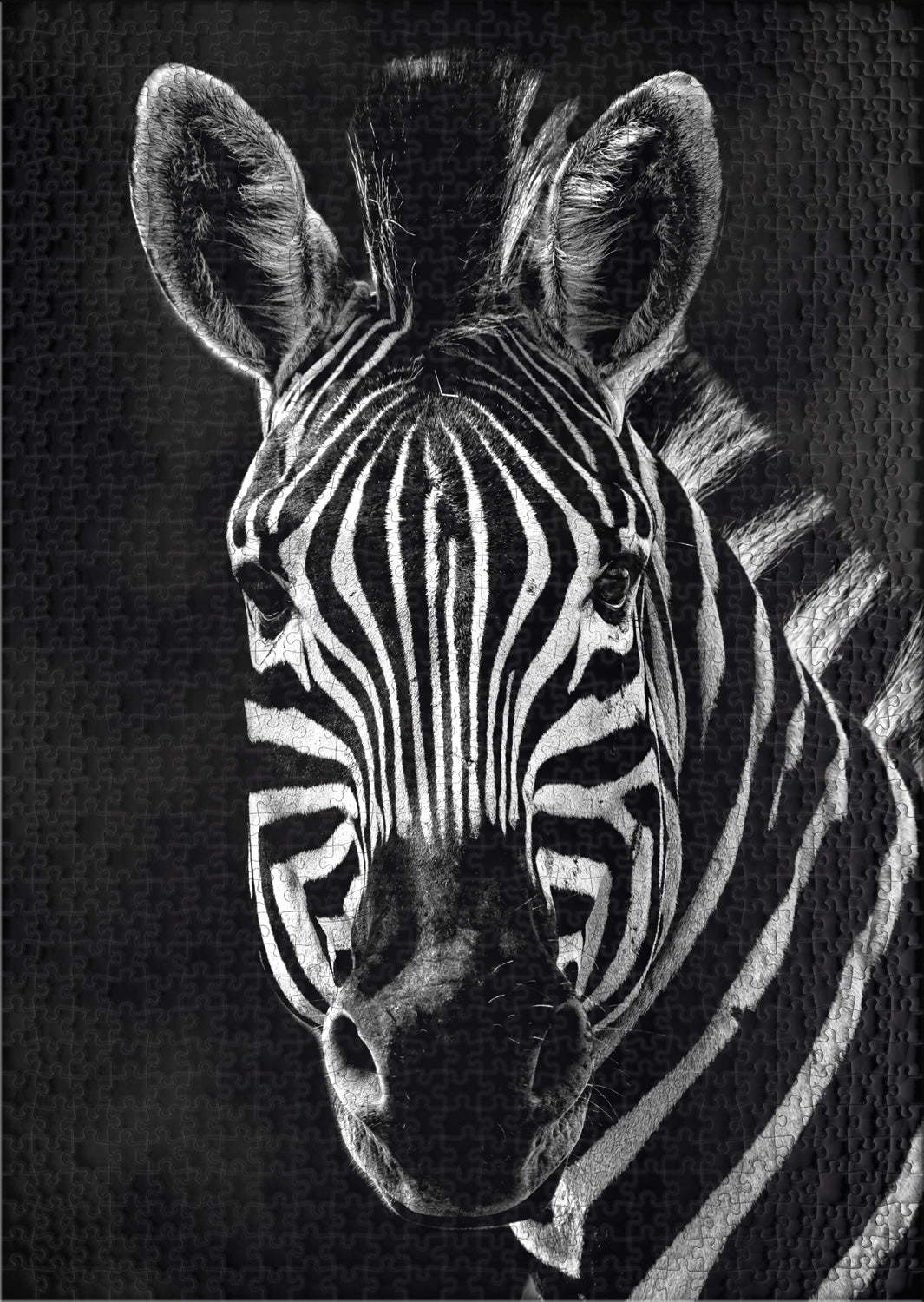 ulmer-puzzleschmiede-zebra-1000-teile-puzzle-schwarz-weiss image 2