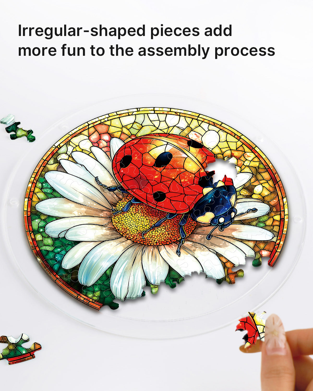 kaayee-ladybug-on-daisy-suncatcher-fensterbild-small-acryl image 2