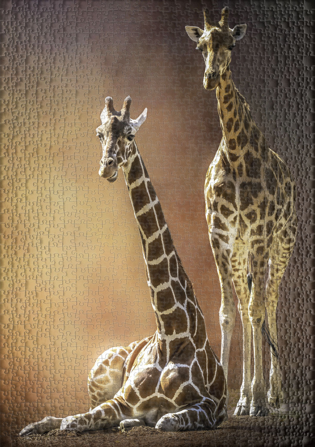 ulmer-puzzleschmiede-giraffen-liebe-puzzle-1000-teile-afrika image 2