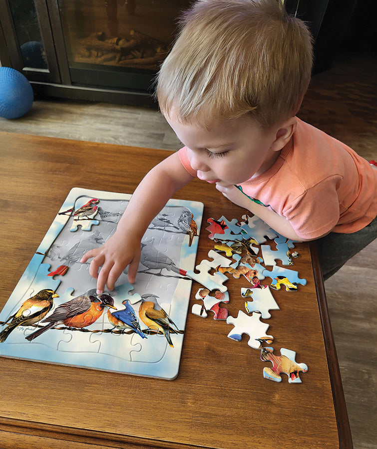 cobble-hill-blue-sky-birds-35-teile-rahmenpuzzle-kinder image 2