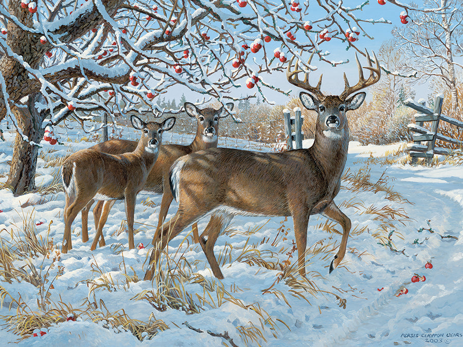 cobble-hill-500-piece-winter-deer-puzzle-500-teile-winter image 2