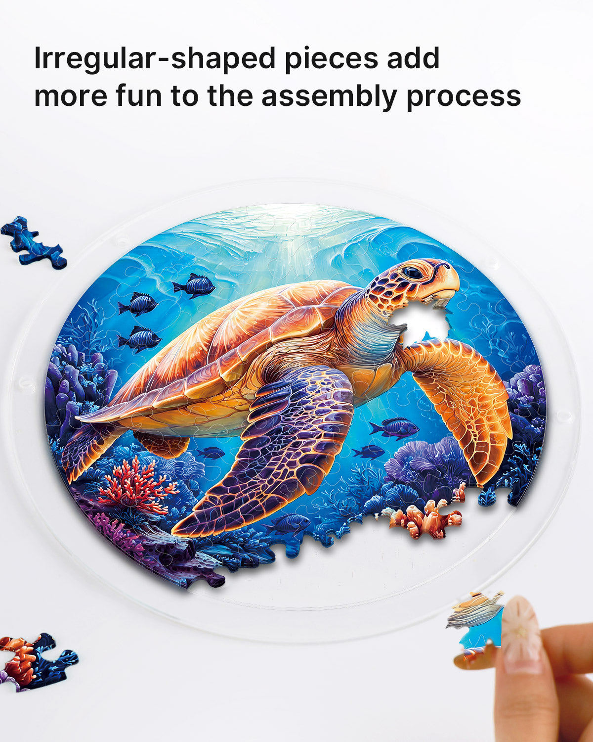 kaayee-starsea-turtle-suncatcher-fensterbild-small-18-8-cm image 2