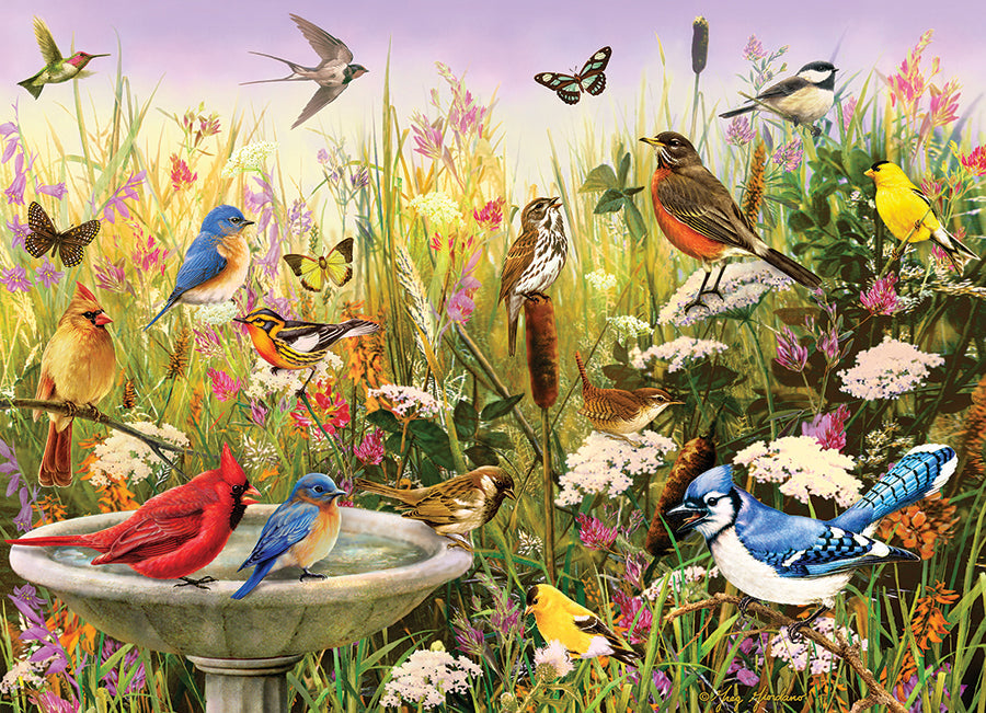 cobble-hill-1000-piece-puzzle-feathered-friends-1000-teile-v-gel image 2