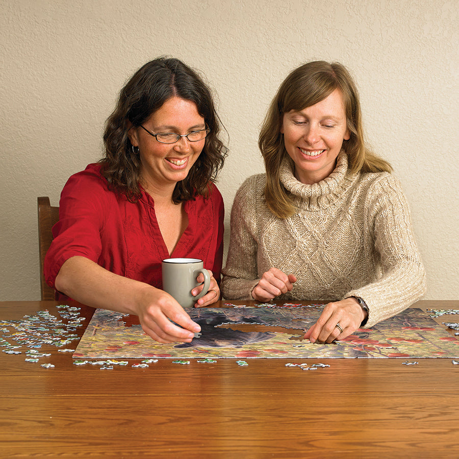 cobble-hill-500-piece-den-dreams-puzzle-500-teile-b-r image 5