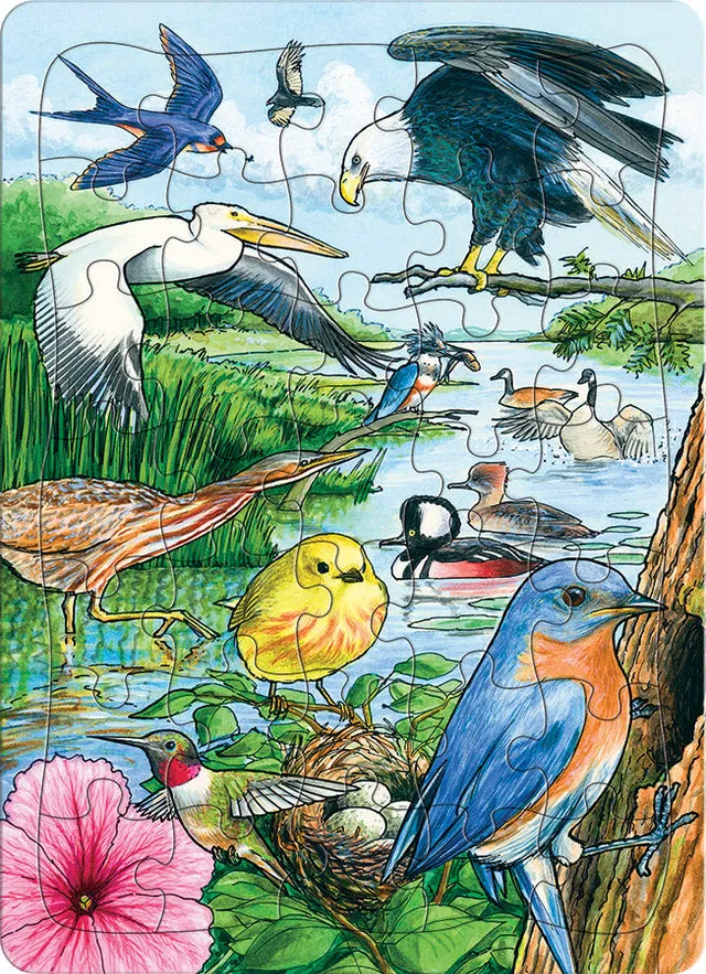 cobble-hill-tray-north-american-birds-puzzle-35-teile-v-gel image 1
