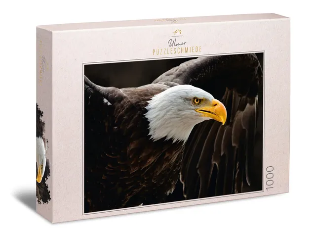 ulmer-puzzleschmiede-puzzle-1000-teile-seeadler-greifvogel-flug image 1