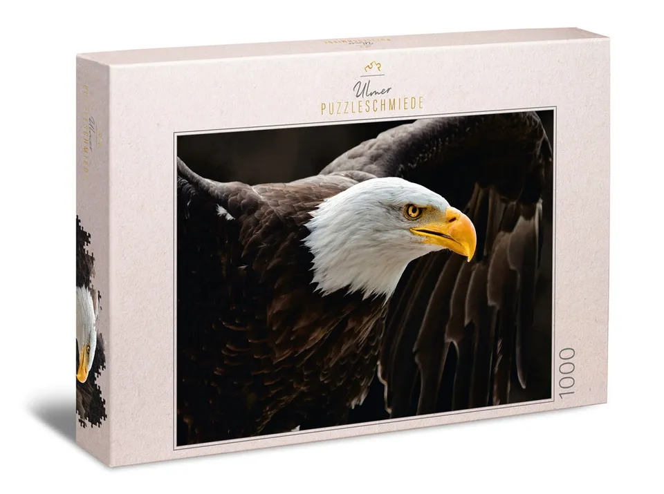 ulmer-puzzleschmiede-puzzle-1000-teile-seeadler-greifvogel-flug image 1