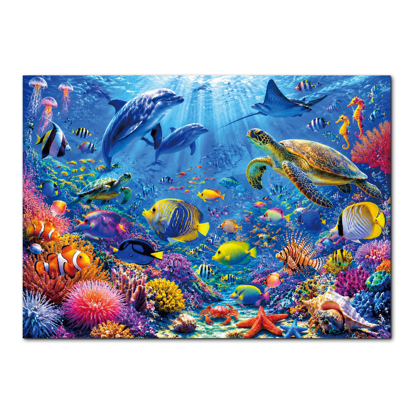 kaayee-coral-reef-wonderland-1000-teile-puzzle-standard-edition image 1