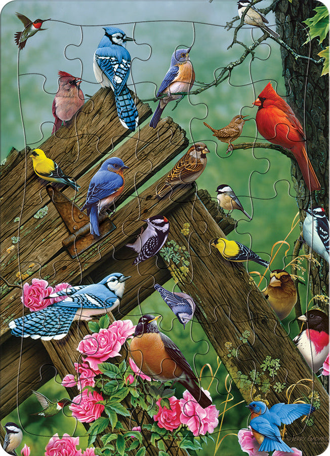 cobble-hill-wildbird-gathering-35-teile-rahmenpuzzle-v-gel image 1