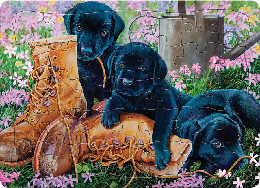 cobble-hill-black-lab-puppies-35-teile-rahmenpuzzle-welpen image 1