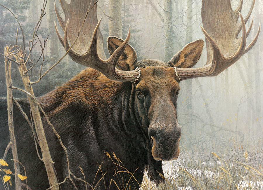 cobble-hill-500-piece-bull-moose-puzzle-500-teile-elch image 2