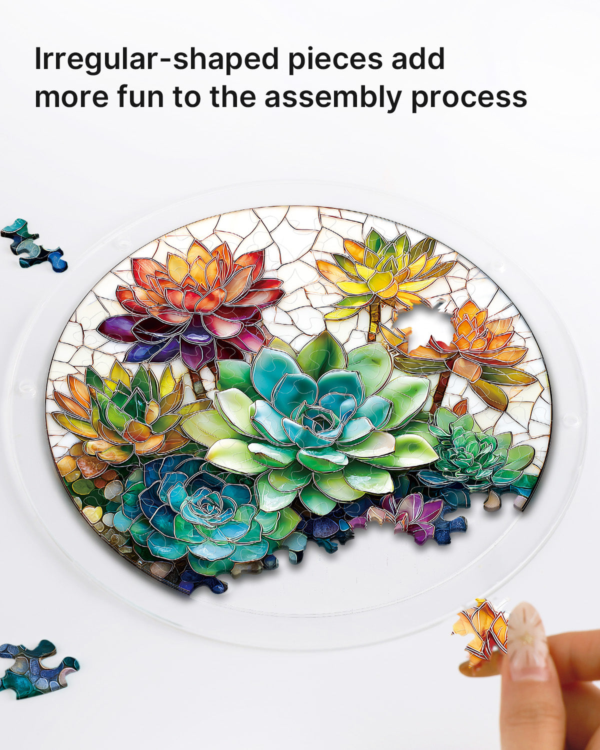 kaayee-succulent-garden-suncatcher-fensterbild-medium image 2