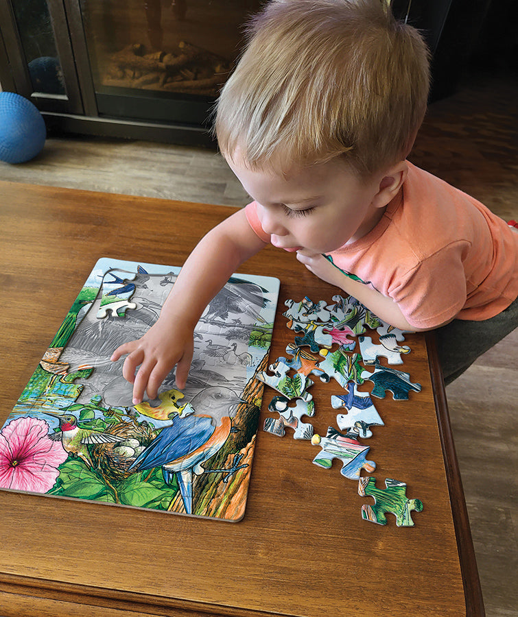 cobble-hill-tray-north-american-birds-puzzle-35-teile-v-gel image 2
