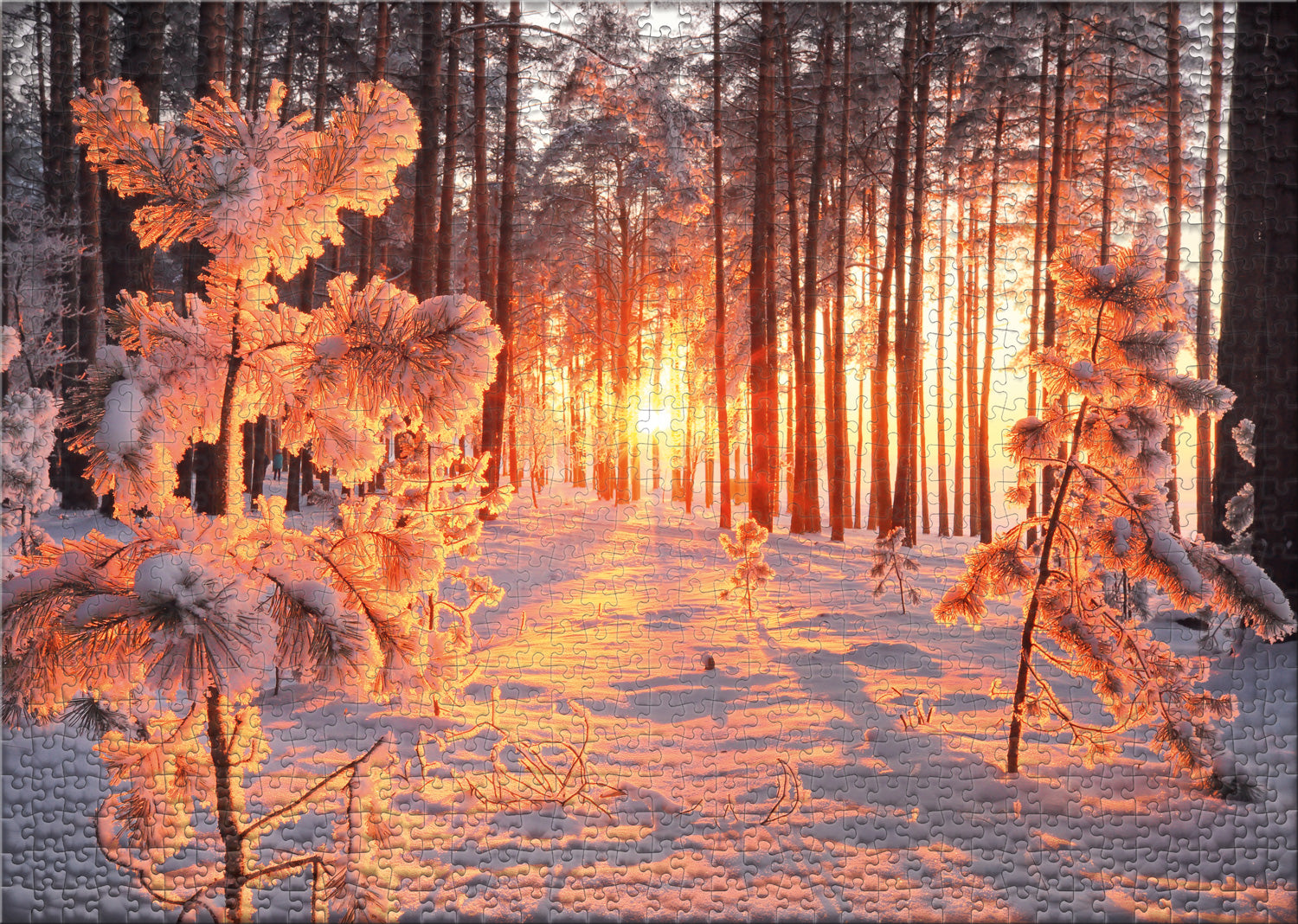 ulmer-puzzleschmiede-wintersonne-puzzle-2000-teile-winterwald image 2