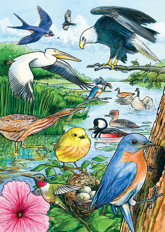 cobble-hill-tray-north-american-birds-puzzle-35-teile-v-gel image 4