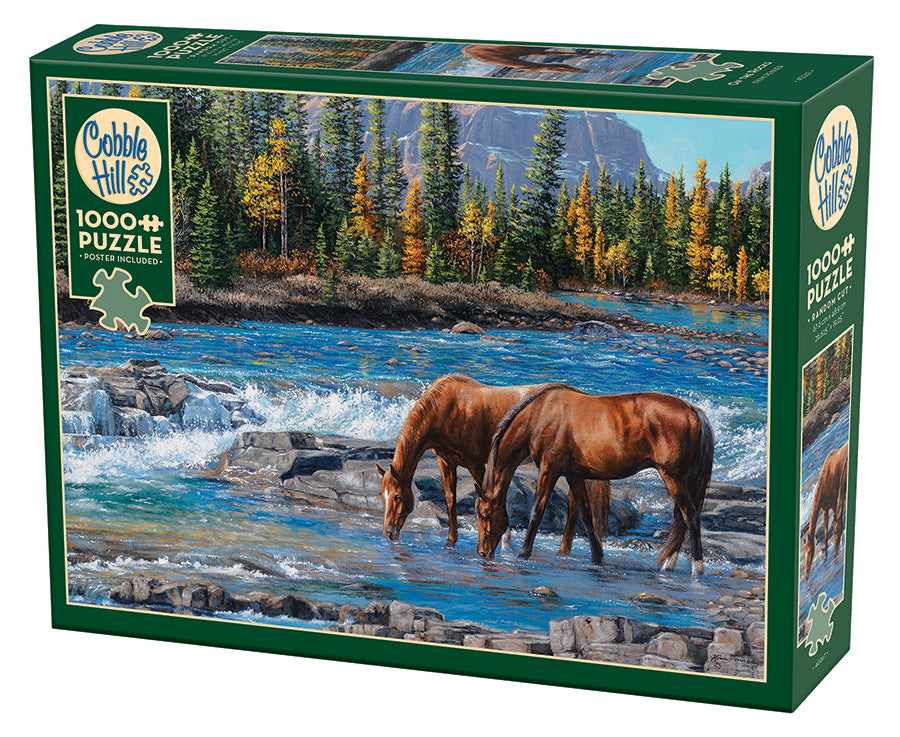 cobble-hill-1000-piece-on-the-rocks-puzzle-1000-teile-herbst image 1