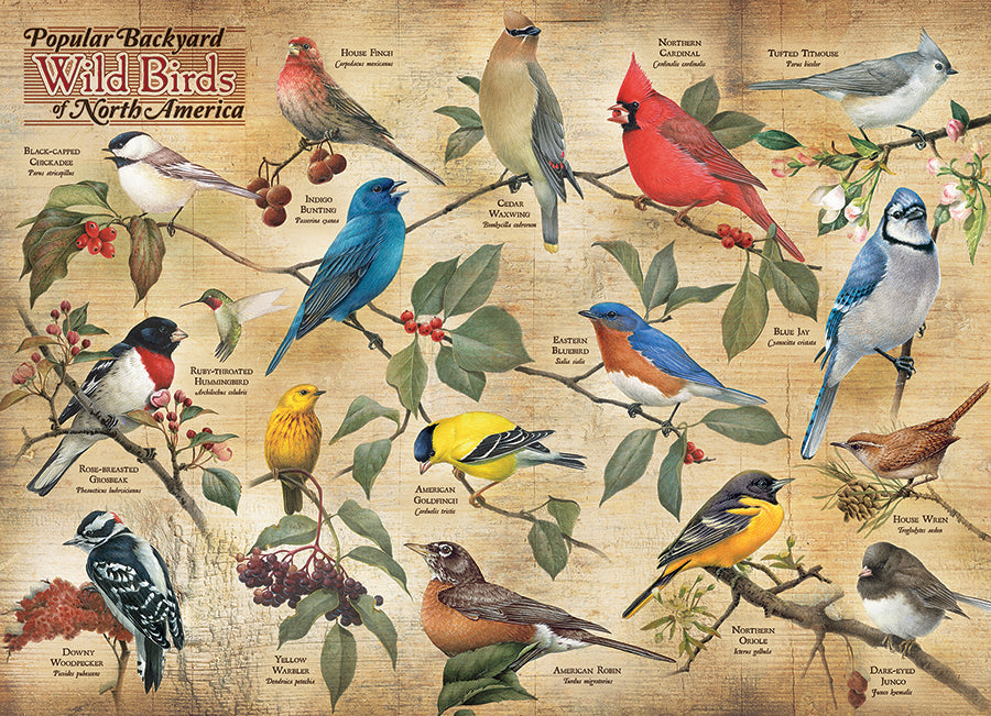 cobble-hill-1000-piece-popular-backyard-wild-birds-of-north-america-puzzle image 2