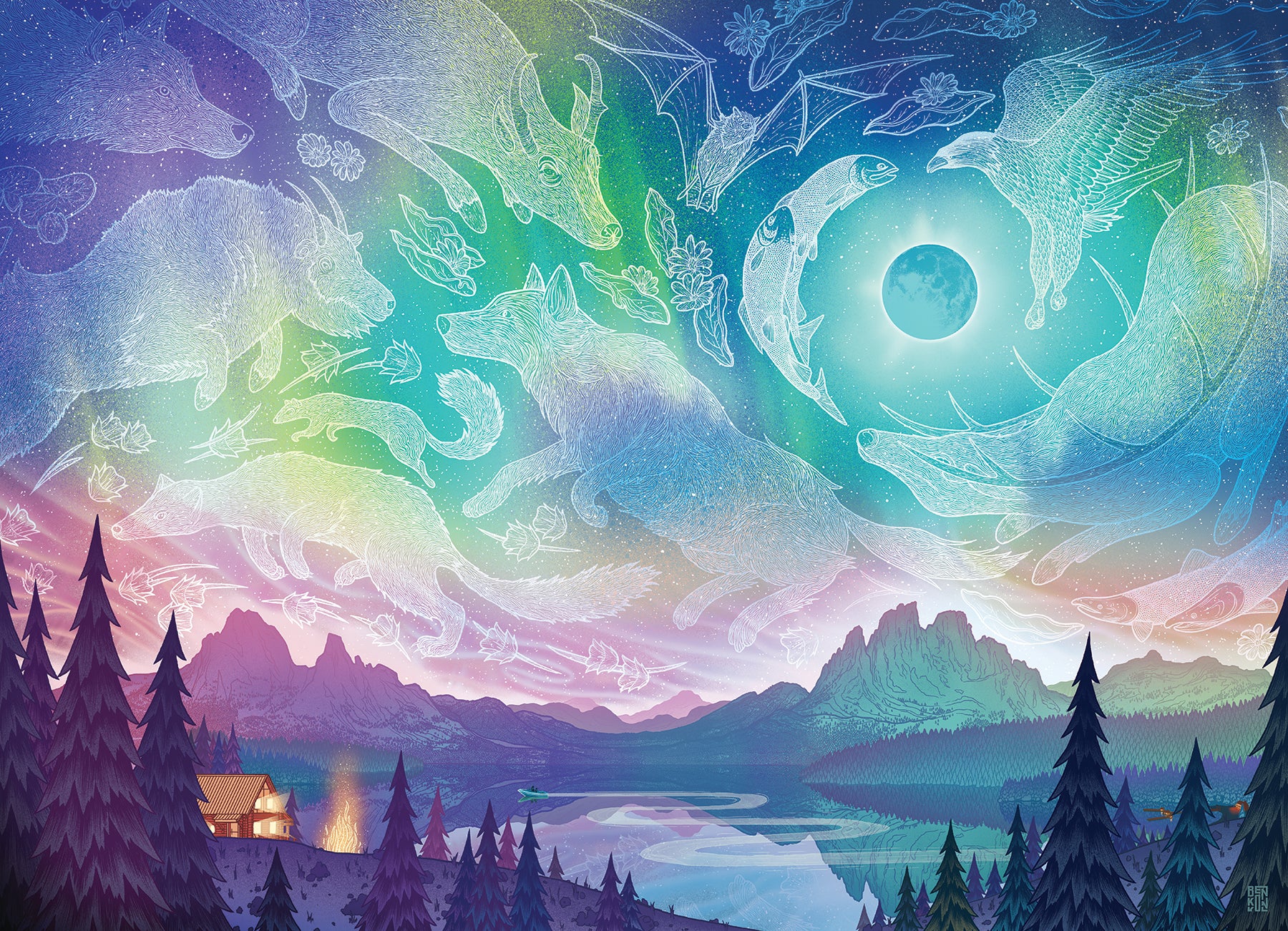 cobble-hill-1000-aurora-puzzle-1000-teile-nachthimmel image 2