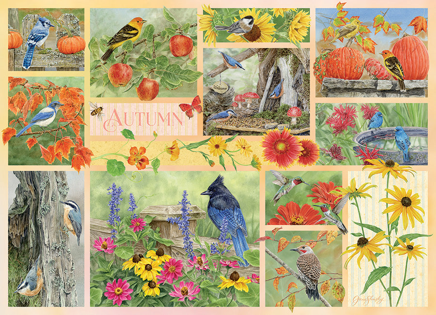 cobble-hill-500-piece-garden-birds-in-autumn-puzzle-500-teile image 2