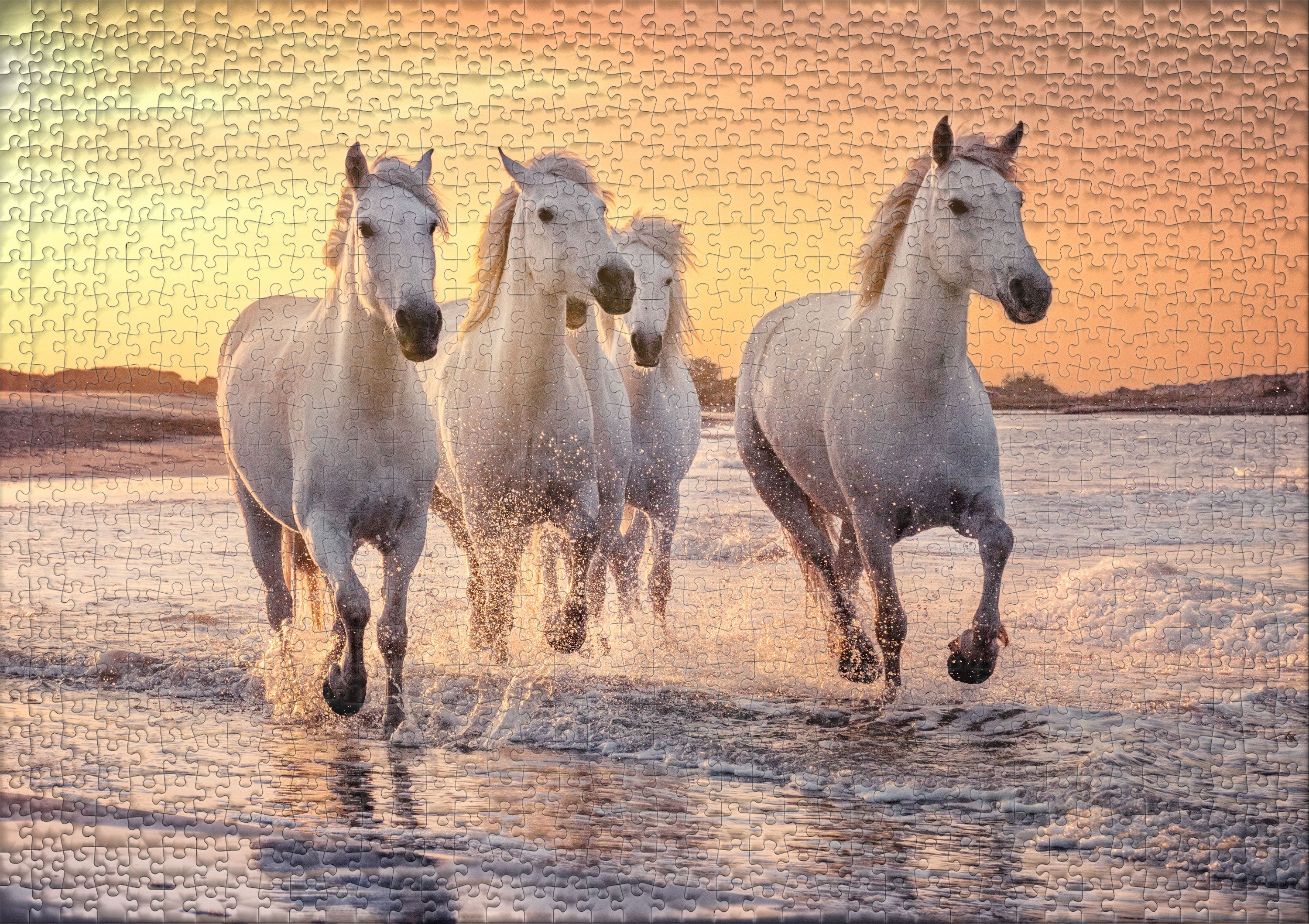 ulmer-puzzleschmiede-camargue-pferde-1000-teile-puzzle-pferde image 2