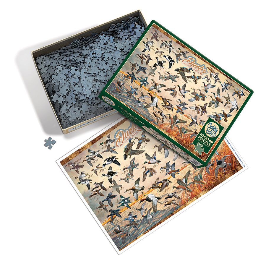 cobble-hill-1000-piece-ducks-of-north-america-puzzle-1000-teile image 3