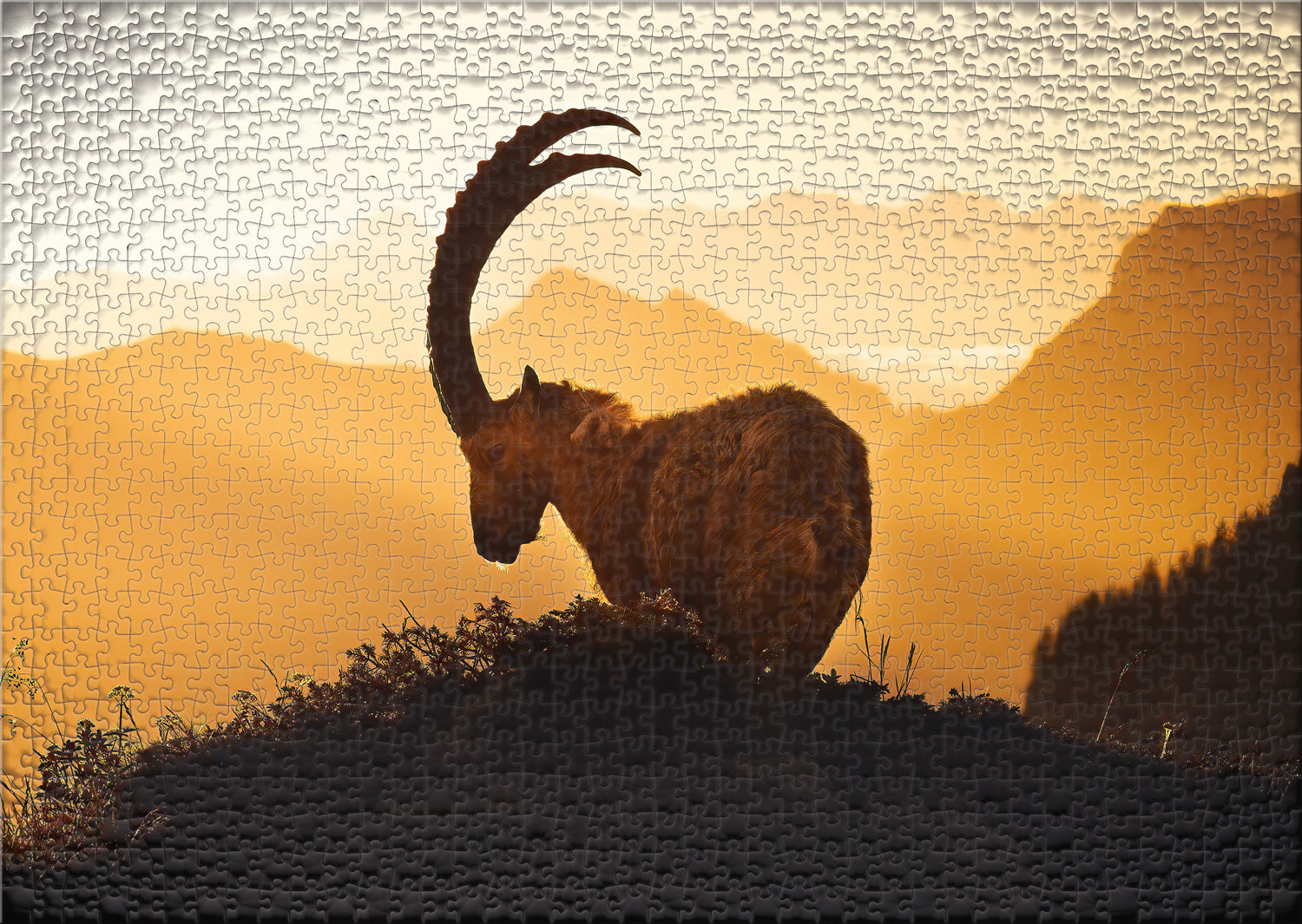 ulmer-puzzleschmiede-alpenk-nig-puzzle-1000-teile-steinbock image 2
