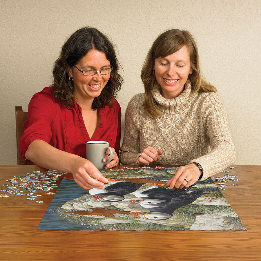 cobble-hill-500-piece-fisherman-s-wharf-puzzle-500-teile-meer image 5
