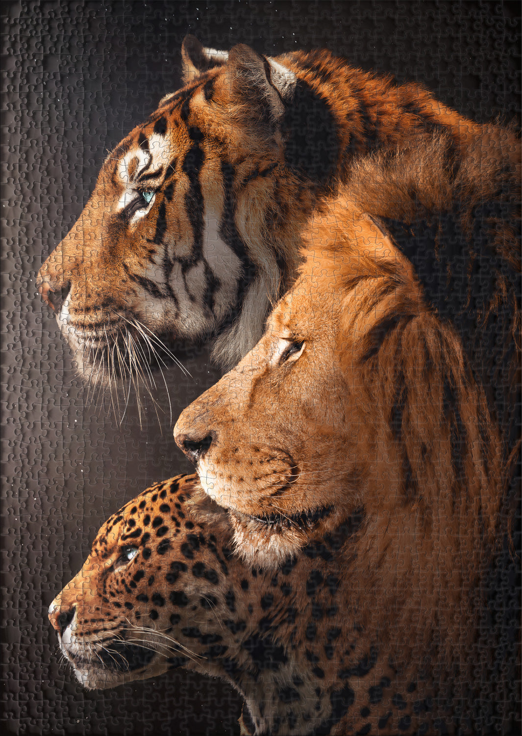 ulmer-puzzleschmiede-the-big-three-puzzle-1000-teile-raubkatzen image 2