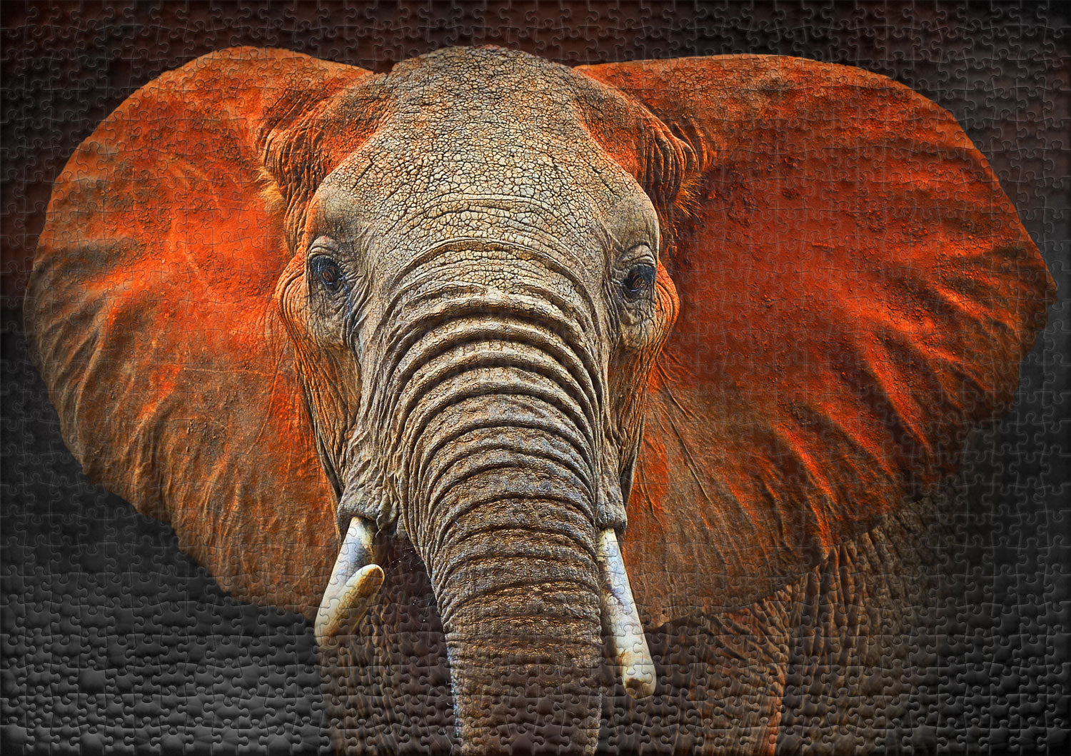 ulmer-puzzleschmiede-tsavo-elefant-puzzle-1000-teile-afrika image 2