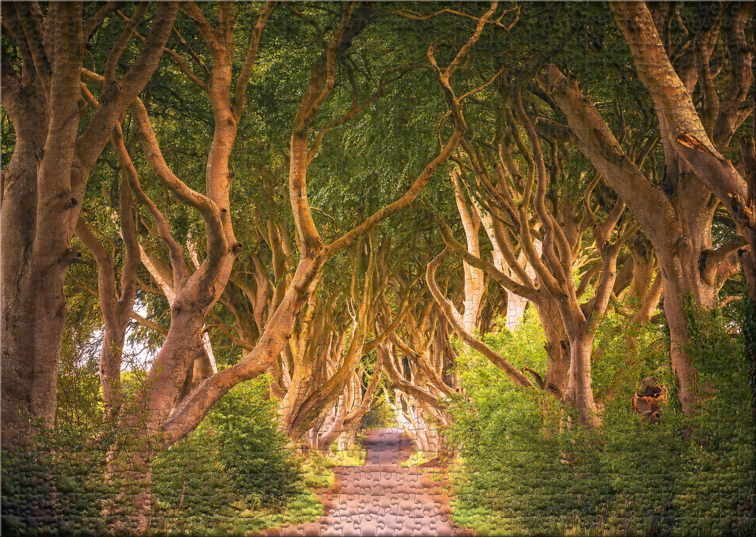 ulmer-puzzleschmiede-the-dark-hedges-puzzle-1000-teile-wald image 2