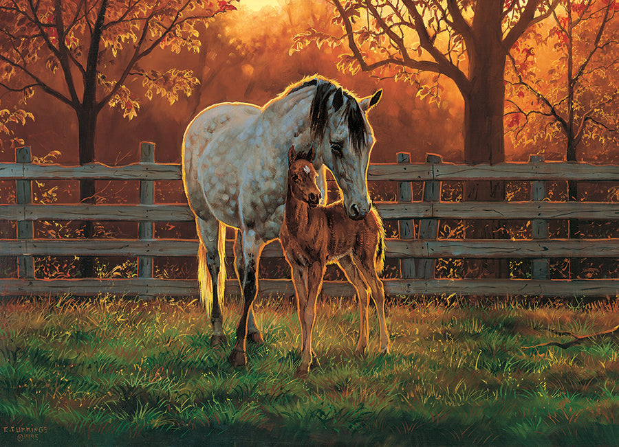 cobble-hill-500-piece-quiet-time-puzzle-pferde-500-teile image 2