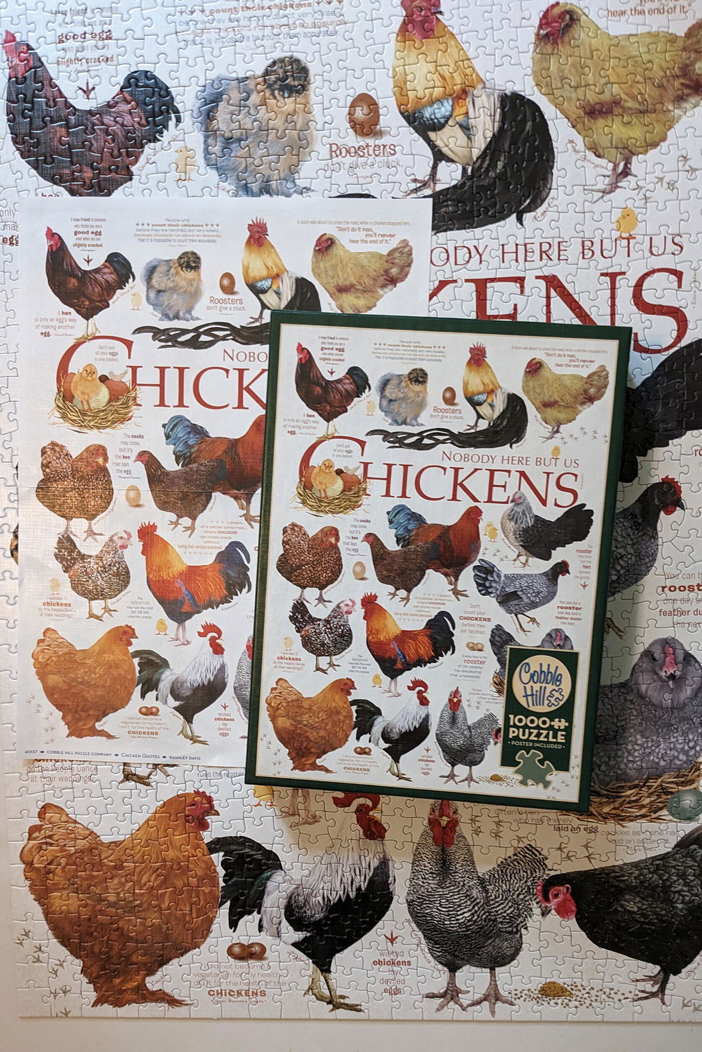 Sprüche gelesen