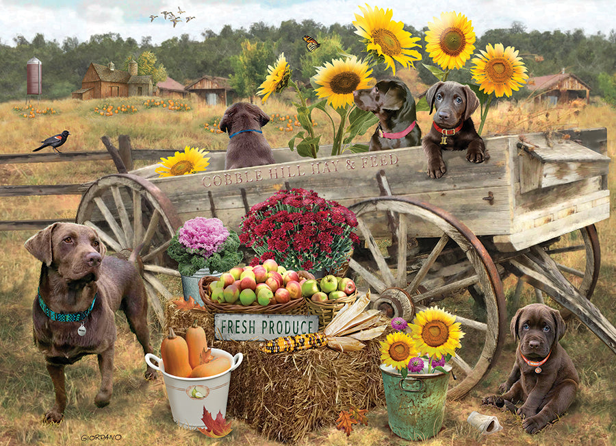 cobble-hill-500-piece-choc-wagon-puzzle-500-teile-welpen image 2