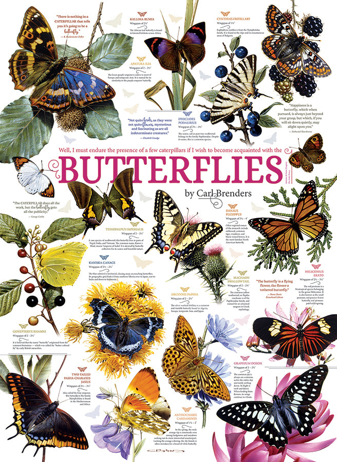 cobble-hill-1000-butterfly-collection-puzzle-1000-teile-schmetterlinge image 2