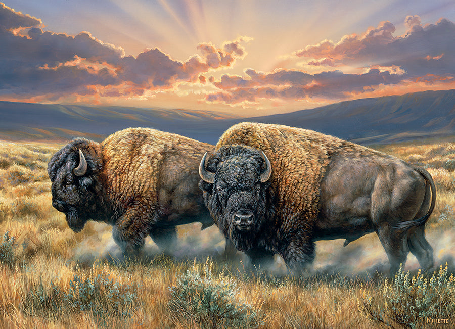 cobble-hill-1000-piece-dusty-plains-puzzle-1000-teile-bison image 2