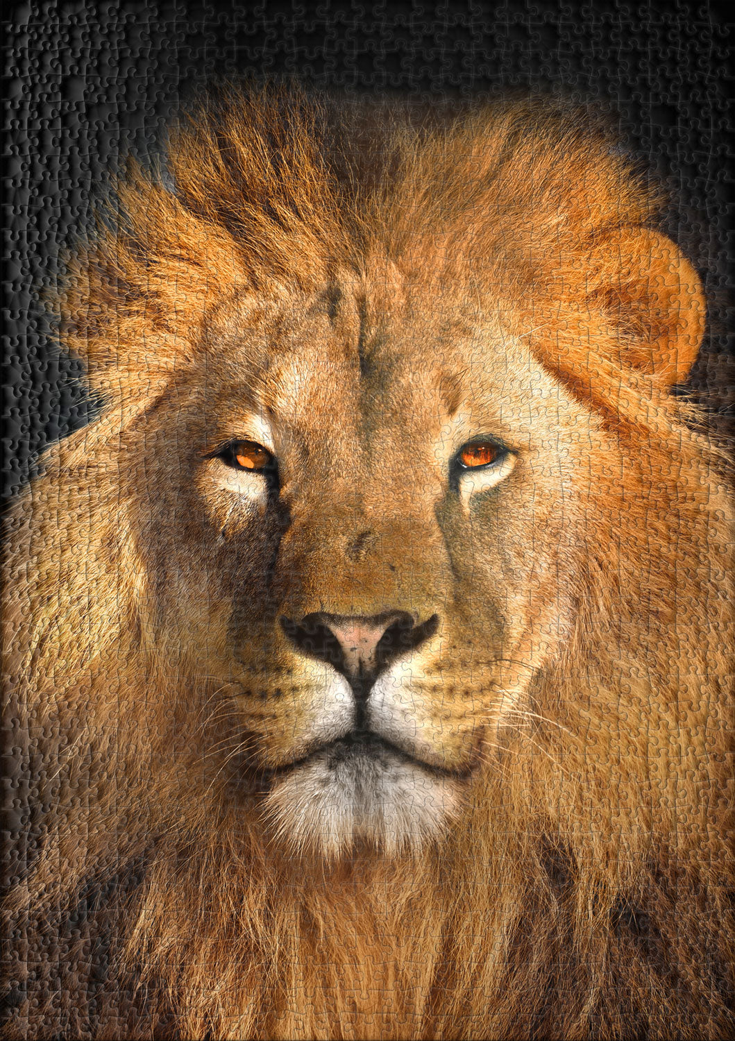 ulmer-puzzleschmiede-k-nigs-portrait-puzzle-1000-teile-l-we image 2