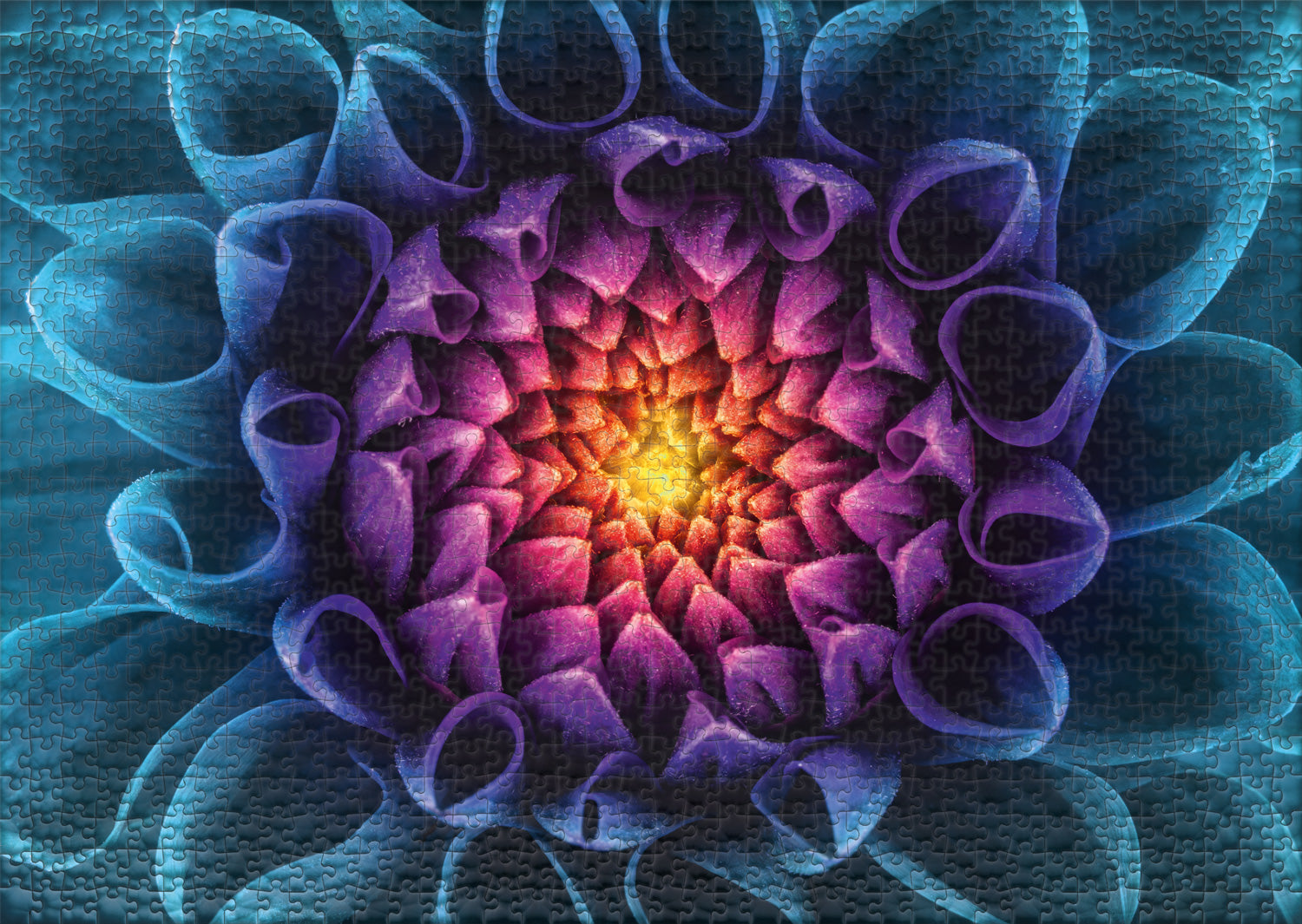 ulmer-puzzleschmiede-geheimnisvolle-bl-te-puzzle-1000-teile-blume image 2