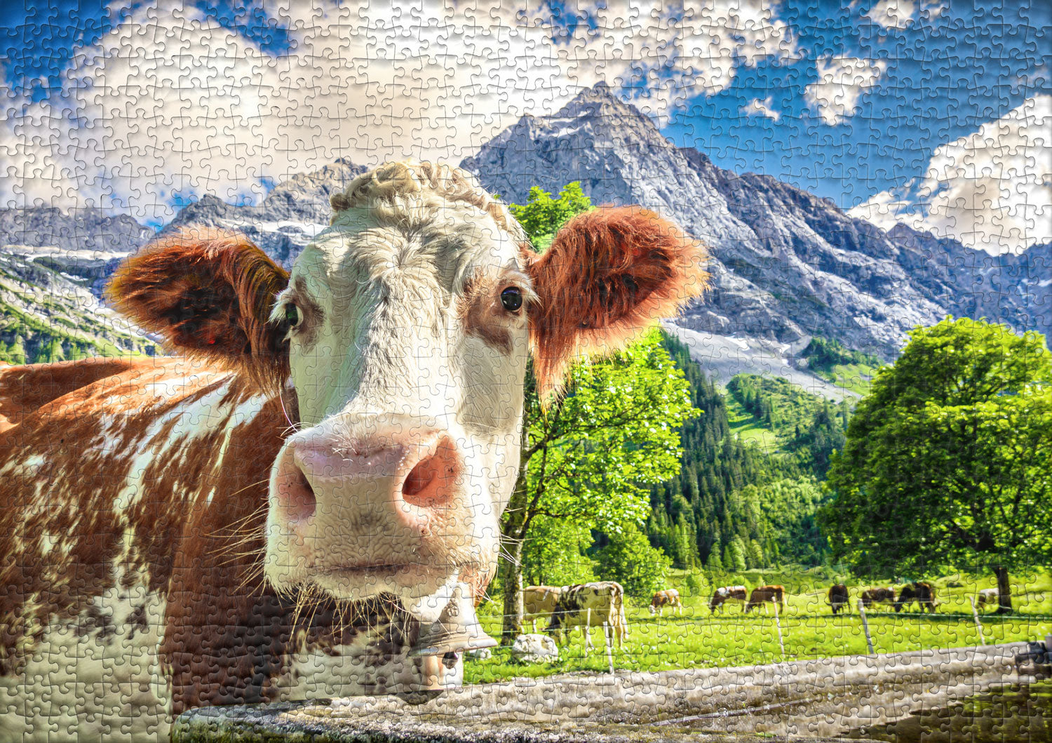 ulmer-puzzleschmiede-traum-kuh-lisse-puzzle-1000-teile-kuh image 2