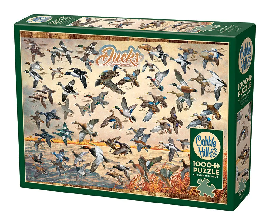 cobble-hill-1000-piece-ducks-of-north-america-puzzle-1000-teile image 1