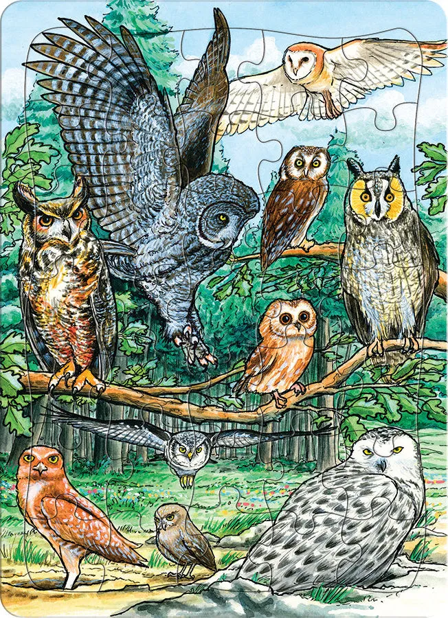 cobble-hill-tray-north-american-owls-rahmenpuzzle-35-teile-eulen image 1