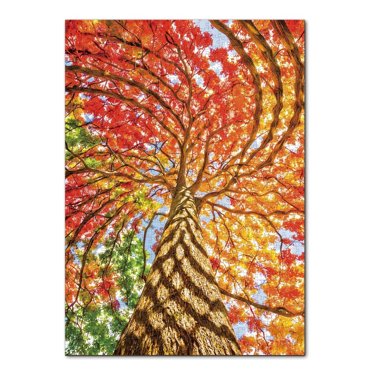 kaayee-cardboard-puzzle-geometric-tree-1-1000-teile-eco image 1