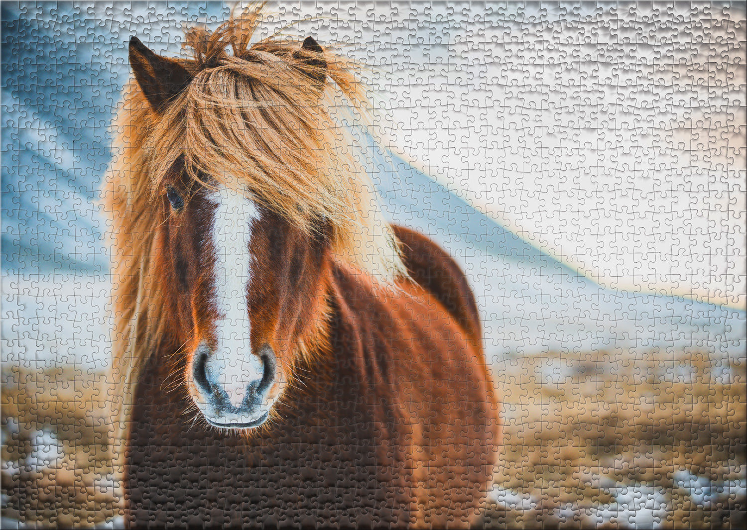 ulmer-puzzleschmiede-puzzle-1000-teile-fr-ulein-winterhaar-pferd image 2