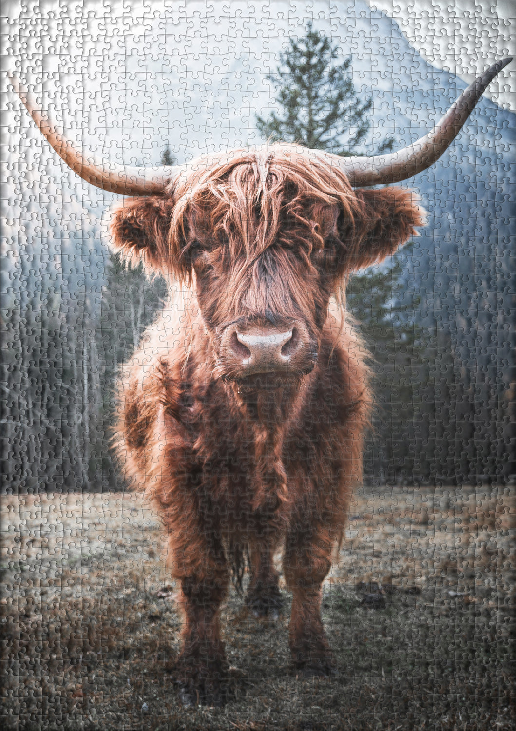 ulmer-puzzleschmiede-hochland-puzzle-2000-teile-tier-alpen image 2