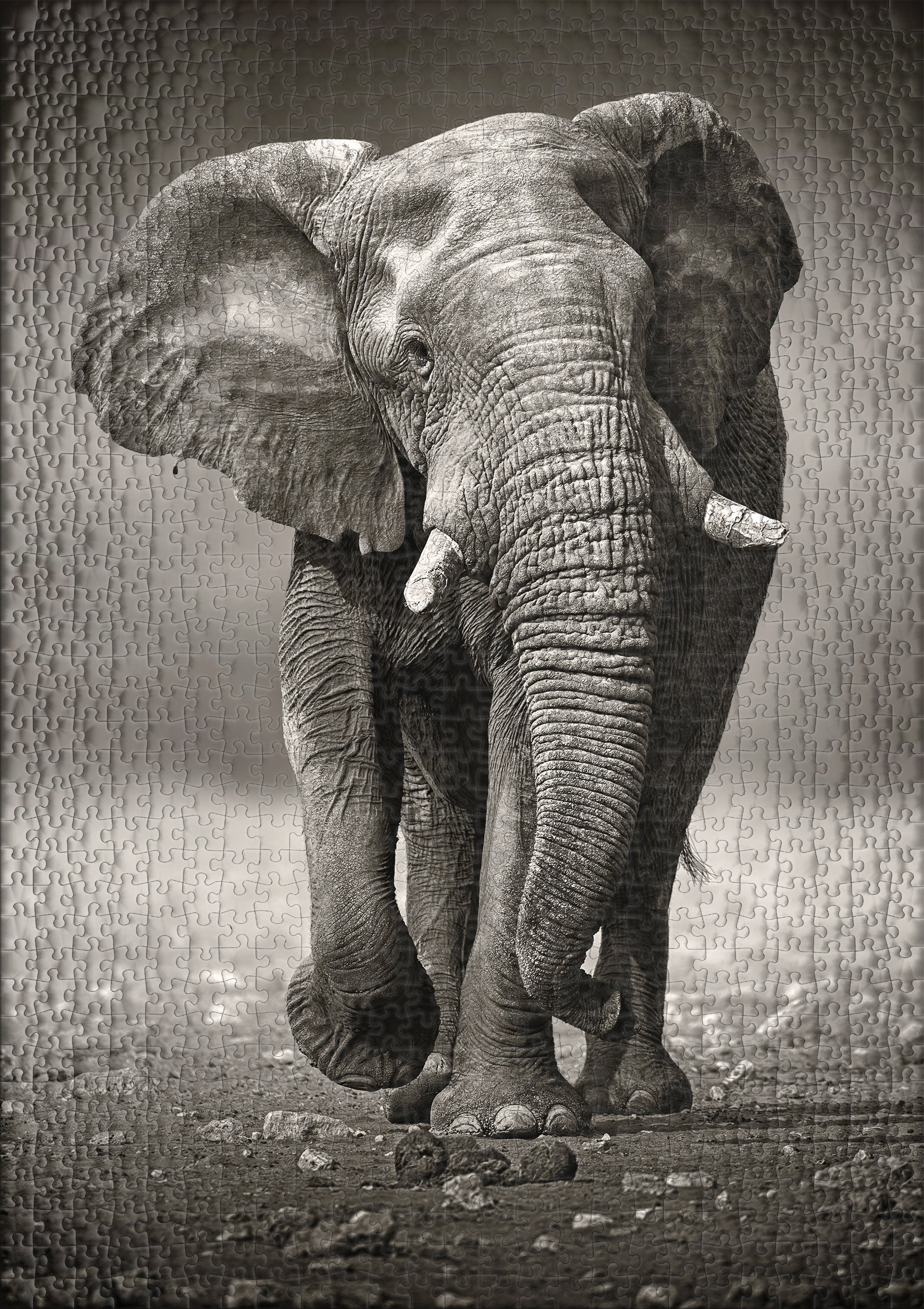 ulmer-puzzleschmiede-der-wanderer-puzzle-1000-teile-elefant-sw image 2