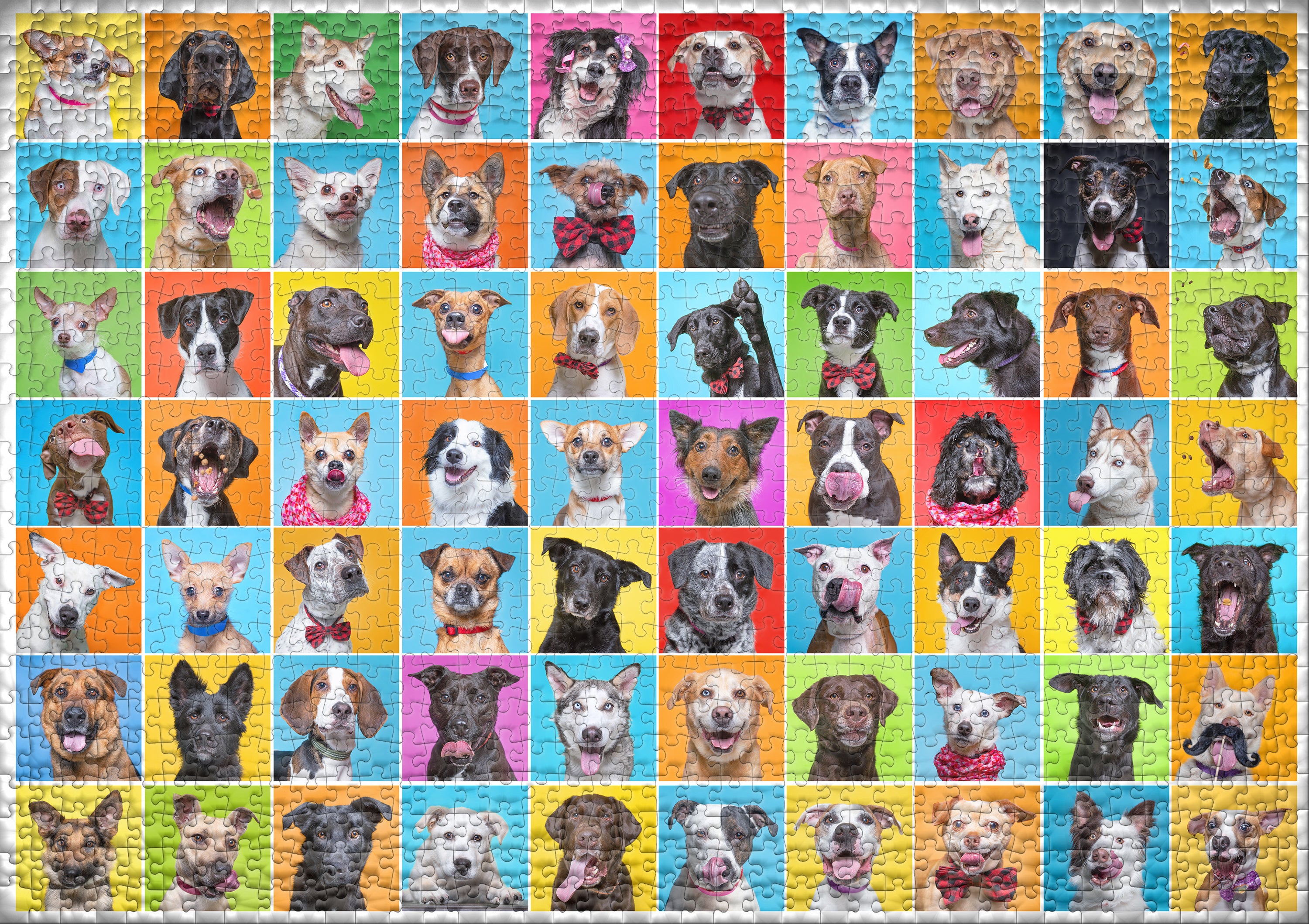 ulmer-puzzleschmiede-bunter-hund-puzzle-1000-teile-hunde-collage image 2